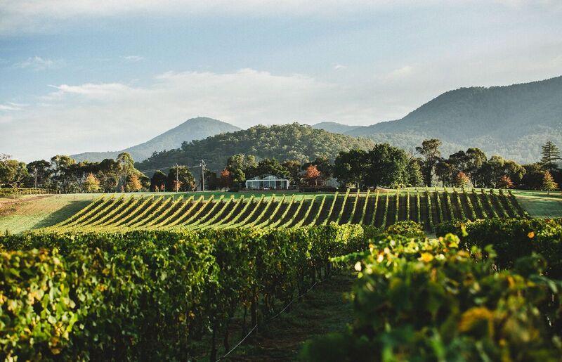 Wine Tasting In The Vines At Boat O'Craigo Yarra Valley Smaller Wineries