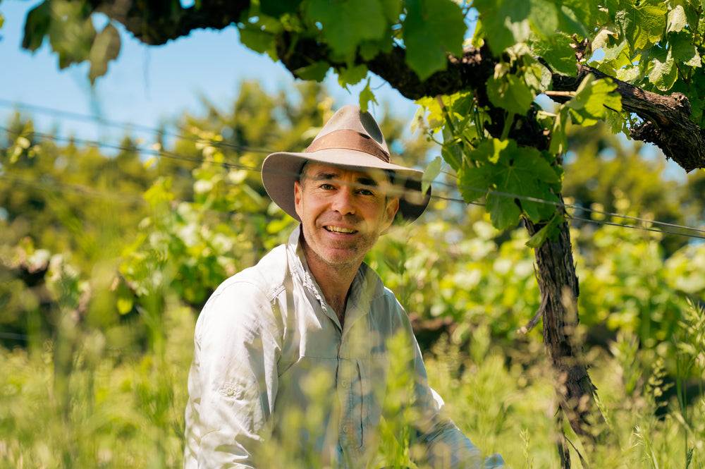 Yarra Valley Smaller Wineries