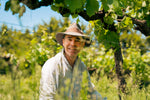 Yarra Valley Smaller Wineries